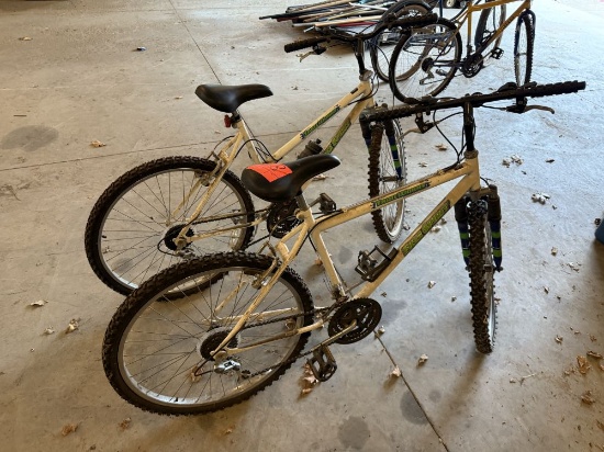 2 twin spirit bikes