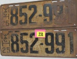 Pair of Original 1925 Michigan License Plates