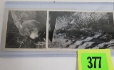 Pair of WWII Photos of Dead Japanese Soldiers