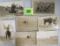 Lot of (7) Cowboy / Bronco Busting Early (RPPC) Postcards