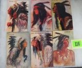 Lot of (6) 1909 American Indian Postcards