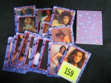 Celebrity Hot Shots I Nudie Card Set