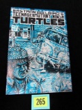 Eastman & Laird's Teenage Mutant Ninja Turtles #3 (1984) Mirage