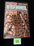 Raphael #1 (1985) Tmnt Mirage 1st App. Casey Jones