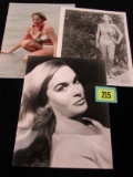 Ursula Andress Lot Of (3) 8 X 10 Stills.