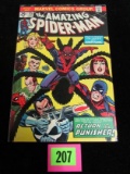 Amazing Spiderman #135 (1974) Key 2nd Appearance Punisher