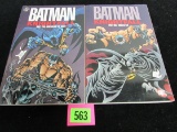 Batman: Knightfall Vol 1 & 2 Graphic Novels