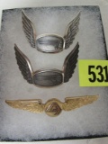 (3) Rare Airline Pilot/ Flight Badges incl Western Airlines