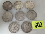 (8) Morgan Silver Dollars