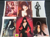 Elvira Group Of (6) 8 X 10 Photos