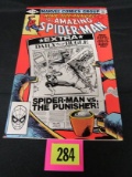 Amazing Spiderman Ann. #15/punisher