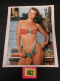 Christie Brinkley 8 X 10 Color Photo