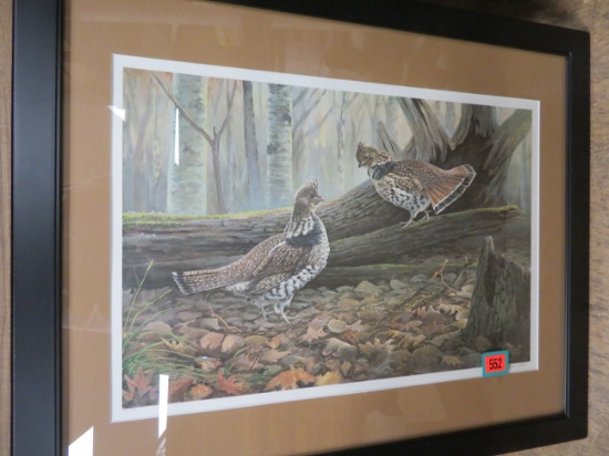 Framed Jim Foote Bird Print, Signed and Numbered  408/850