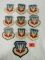 Group Of (10) 1990's Usaf Patches