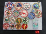 Boy Scouts Group Of 1950's Patches