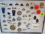 Grouping of Assorted US Military Pins