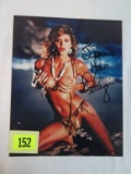 Ginger Lynn/Adult Star Signed Photo