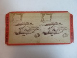 Civil War Original Confederate Soldiers Sterioview Card