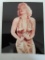 Marilyn Monroe 8 X 10 Pin-Up Photo
