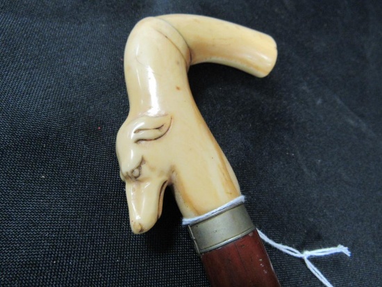 Excellent Antique Cane w/ Carved Ivory / bone Figural Greyhound Handle