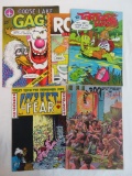 Lot (5) Vintage Underground Comics Radical Rock, Roxy, Goose Lake