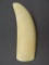 Vintage Uncarved Ivory Bone 7