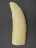 Vintage Uncarved Ivory Bone 7