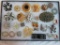 Case Lot of Vintage Costume Jewelry Brooches/Pins, Some Signed Pieces