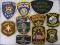 Grouping Vintage Michigan Police Patches