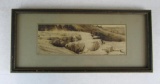 Excellent c. 1910's Yellowstone National Park Framed Tinted Photograph