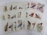 Grouping Approx. 80+ Antique 1898 Singer Sewing Machines Song Birds Trading Cards