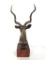 Oustanding Bronze Hauska Bronze Antelope Kudu Bust Sculpture on Wood Base