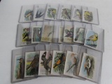 Lot of (19) Antique Church & Dwight Birds of America Cards