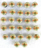 Lot (27) Antique Knights of the Maccabees Celluloid Button Back Lapel Pins