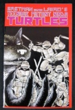 Teenage Mutant Ninja Turtles #1 (1988) 5th Printing RARE Key 1st Appearance