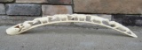 Museum Quality Antique Carved Ivory or Bone 31