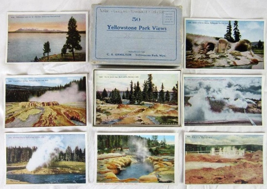 Near Set (43) Antique Yellowstone National Park Postcards in Original Box