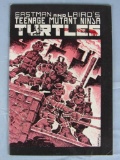 Teenage Mutant Ninja Turtles #1 (1985) Mirage/ 3rd Printing Key 1st Appearance!