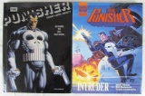 Lot (2) Large Sized Punisher Hardcover Graphic Novels- Intruder, & Return to Big Nothing