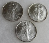 Lot (3) 1993 US .999 Silver Eagle Dollar Coins