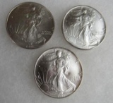 Lot (3) 1993 US .999 Silver Eagle Dollar Coins