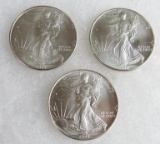 Lot (3) 1993 US .999 Silver Eagle Dollar Coins