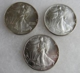 Lot (3) 1992 US .999 Silver Eagle Dollar Coins