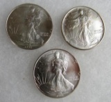 Lot (3) 1993 US .999 Silver Eagle Dollar Coins