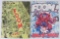 FOOM Marvel #11 & 16 Bronze Age Issues.