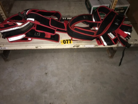 Assorted safety belts