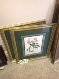 (2) Floral  framed pictures (water damage)