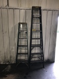 (2) Fiberglass step ladders