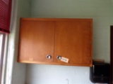4ft x 30in Wall cabinet
