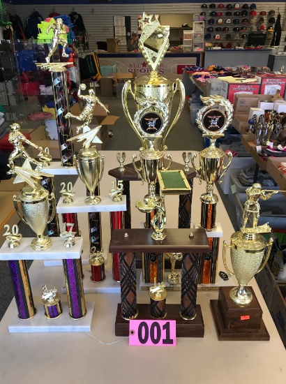 (8) Assorted trophies